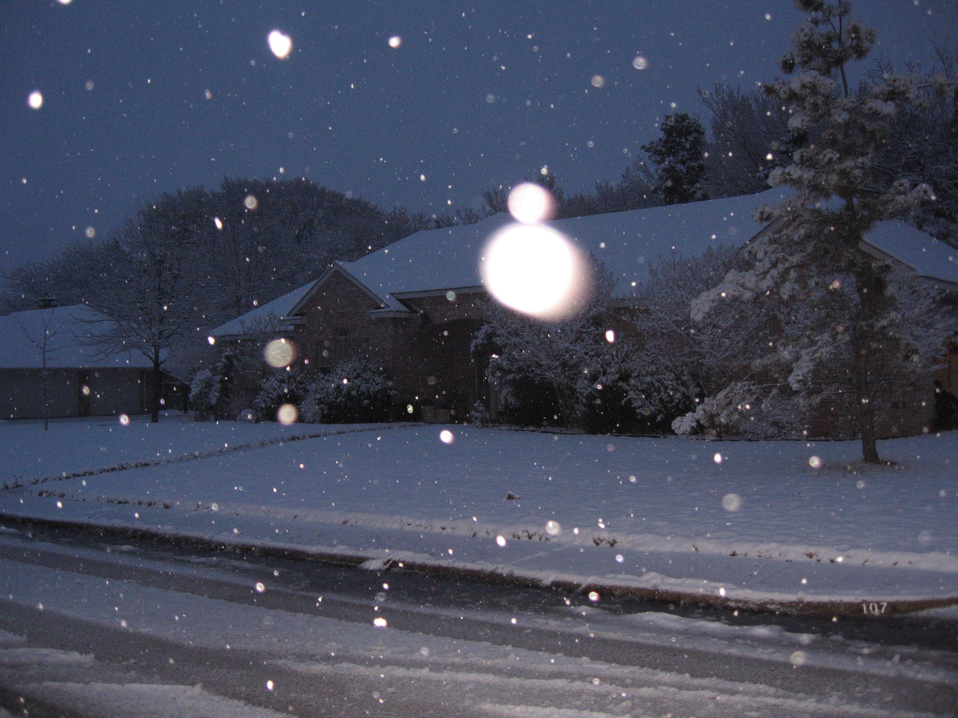 10.02.11 cedar hill snow scenes 003